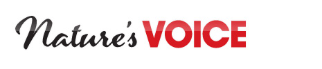 nature_voice_logo